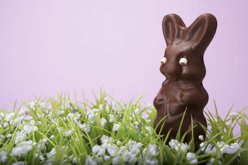 无人,横图,室内,特写,白天,正面,草地,草坪,花海,花圃,植物,叶子,复活节,紫色背景,节日,庆祝,盛开,兔子,食品,糖,糖果,甜点,甜品,棕色,花蕾,文化,草,花,花瓣,花朵,花卉,鲜花,食物,一个,绿色,甜食,巧克力,花丛,花束,花田,花苞,花蕊,庆典,摄影,影棚,单个,纪念,朱古力,复活节兔子,彩图,影棚拍摄,拍摄
