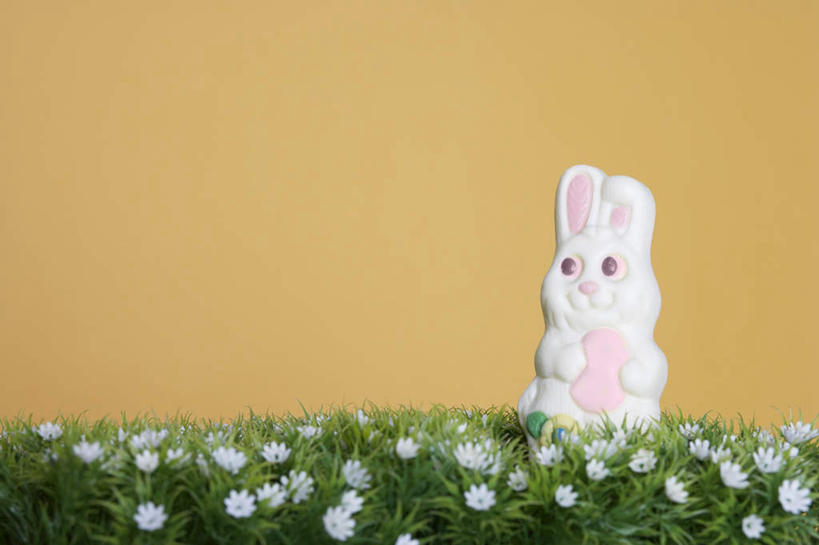 耳朵,无人,横图,室内,特写,白天,正面,游戏,花海,花圃,植物,玩具,叶子,复活节,黄色背景,节日,庆祝,盛开,兔子,玩偶,玩,花蕾,文化,娱乐,花,花瓣,花朵,花卉,鲜花,绿色,花丛,花束,花田,花苞,花蕊,庆典,休闲,益智,摄影,毛绒玩具,影棚,纪念,安慰,发泄,消遣,复活节兔子,宣泄,耳,耳部,玩耍,嬉戏,彩图,影棚拍摄,拍摄