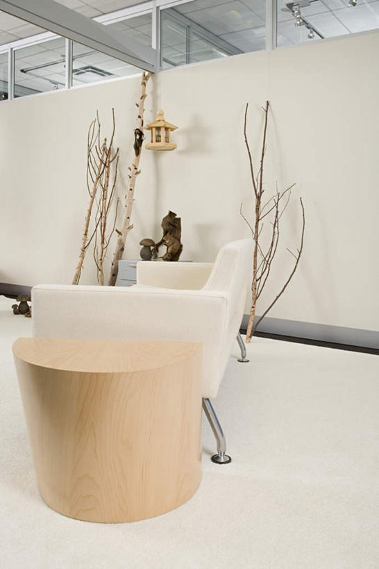 无人,竖图,室内,白天,仰视,植物,窗户,柜子,沙发,墙,枝条,储物柜,玻璃窗,墙壁,墙面,树,树木,树枝,储存,布艺沙发,虬枝,枝杈,储备,蕴藏,贮备,彩图,低角度拍摄,贮存