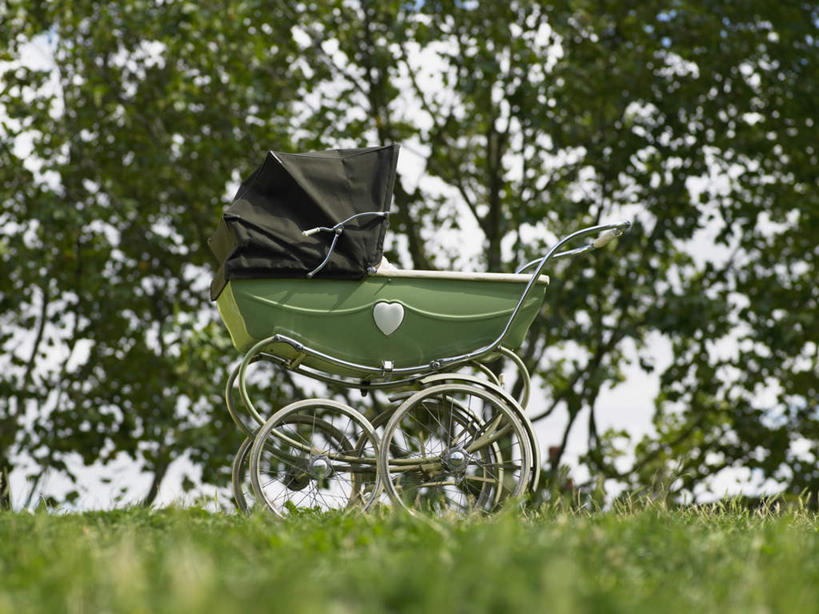 无人,横图,室外,白天,正面,旅游,度假,草地,草坪,美景,植物,景观,娱乐,车,婴儿车,草,树,树木,绿色,自然,享受,休闲,景色,放松,生长,成长,自然风光,载具,宝宝车,婴儿手推车,婴儿推车,彩图