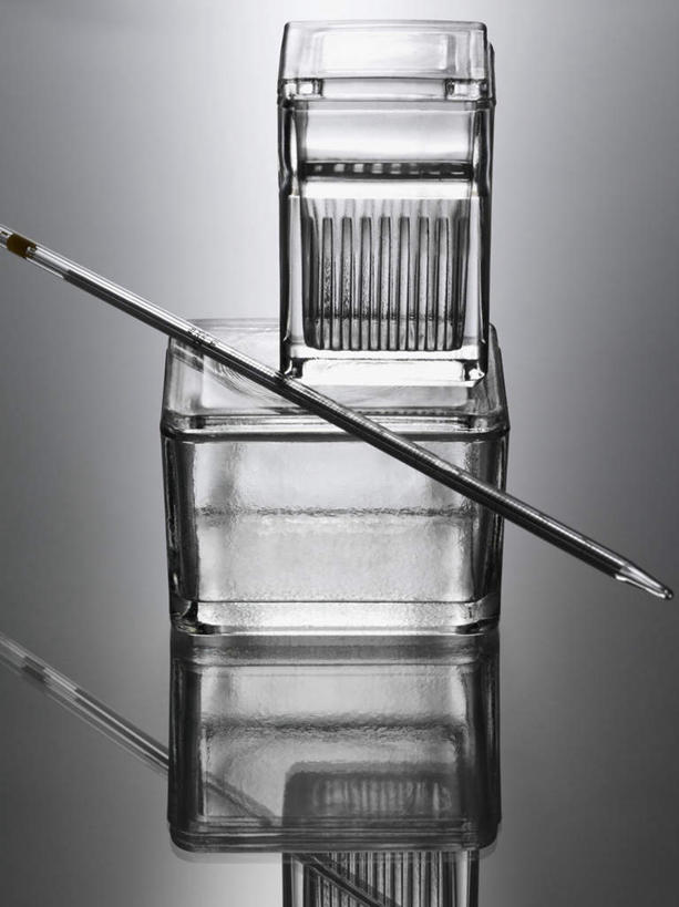 无人,竖图,俯视,室内,特写,白天,实验,仪器,静物,灰色背景,研究,透明,分析,化学,测试,滴管,玻璃制品,容器,器皿,摄影,影棚,储藏,储存,计量,玻璃仪器,试验耗材,实验用品,吸液管,移液管,彩图,高角度拍摄,影棚拍摄,拍摄,贮存