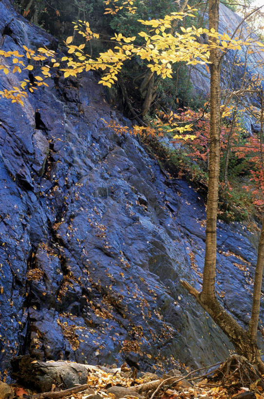 无人,竖图,室外,白天,仰视,旅游,度假,美景,山,山脉,植物,加拿大,阴影,光线,影子,景观,山峰,山峦,娱乐,树,树木,绿色,阳光,自然,群山,享受,休闲,景色,放松,生长,成长,北美,北美洲,自然风光,美洲,省会,北亚美利加洲,亚美利加洲,魁北克,魁北克城,魁北克省,魁北克市,彩图,低角度拍摄