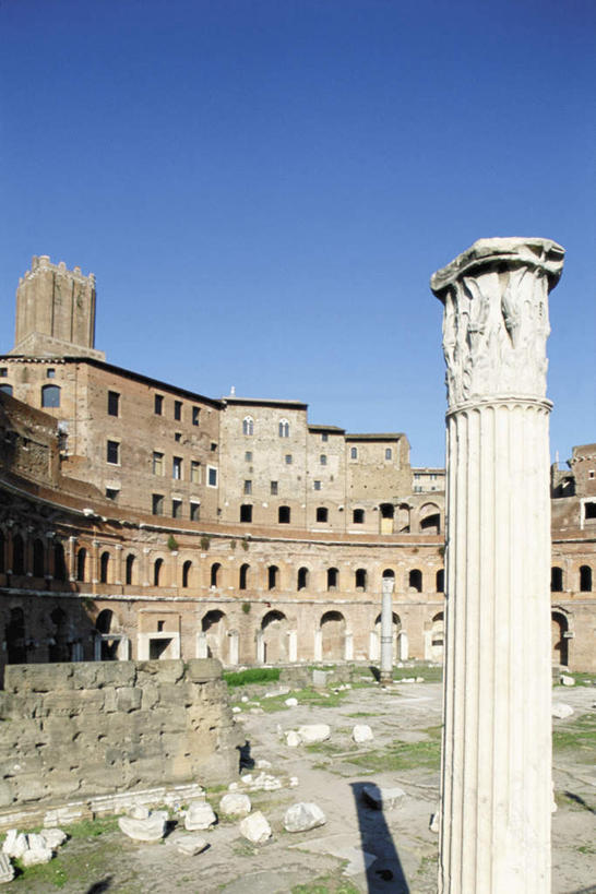 无人,竖图,室外,白天,仰视,旅游,度假,草地,草坪,名胜古迹,植物,标志建筑,地标,建筑,意大利,欧洲,一排,许多,阴影,遗迹,整齐,光线,影子,柱子,拱门,古迹,文物,娱乐,建设,古建筑,草,排列,蓝色,绿色,蓝天,天空,阳光,天,享受,休闲,旅游胜地,放松,晴朗,拉齐奥,队列,南欧,古文明,古罗马广场,万里无云,意大利共和国,拉齐奥大区,古罗马市场,露天博物馆,晴空,晴空万里,彩图,低角度拍摄