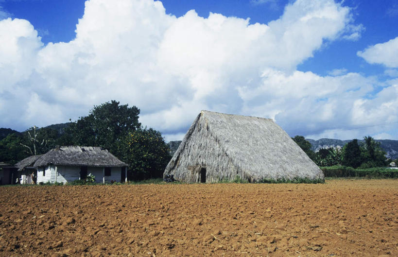 无人,家,木屋,横图,室外,白天,正面,旅游,度假,美景,沙滩,树林,植物,阴影,光线,沙子,影子,海岸,景观,云,云朵,沙地,云彩,娱乐,住宅,树,树木,蓝色,绿色,白云,蓝天,天空,阳光,自然,天,享受,休闲,景色,南美,放松,生长,晴朗,成长,南美洲,西印度群岛,拉丁美洲,自然风光,美洲,亚美利加洲,南亚美利加洲,大安的列斯群岛,两栋,海滩,晴空,彩图,茅舍,茅屋,棚屋,小木屋,小屋
