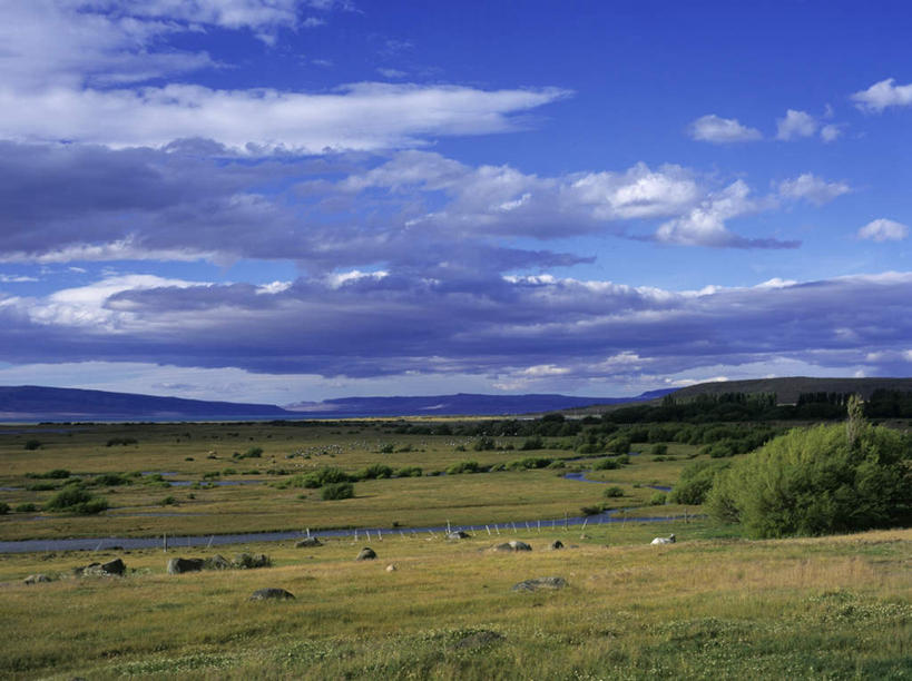 无人,农田,横图,室外,白天,正面,旅游,度假,庄稼,农作物,草地,草坪,美景,植物,阴影,光线,影子,地平线,景观,云,云朵,辽阔,地面,云彩,娱乐,草,树,树木,蓝色,绿色,白云,蓝天,天空,阳光,自然,天,享受,休闲,广阔,景色,南美,放松,生长,晴朗,成长,一望无际,南美洲,拉丁美洲,自然风光,延伸,美洲,天地相交,亚美利加洲,南亚美利加洲,巴塔哥尼亚高原,巴塔哥尼亚,无边无际,一马平川,晴空,彩图,耕地,庄稼田