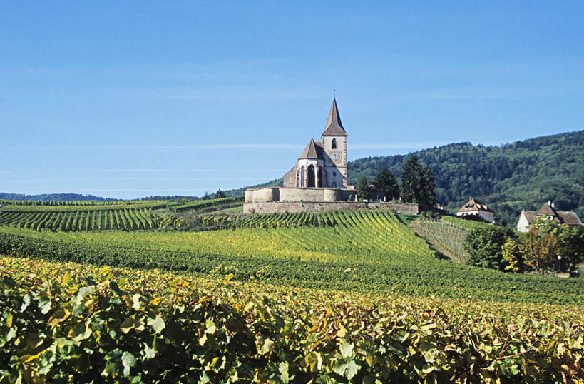 无人,果园,教堂,横图,室外,白天,正面,旅游,度假,草地,草坪,美景,田园,植物,法国,欧洲,节日,景观,文化,娱乐,葡萄园,草,树,树木,蓝色,绿色,蓝天,天空,自然,庄园,天,祈祷,享受,休闲,健康,景色,放松,许愿,宗教,信仰,生长,晴朗,成长,纪念,祈求,基督教,阿尔萨斯,天主教,自然风光,信念,万里无云,法兰西共和国,法兰西第五共和国,阿尔萨斯大区,平安,晴空,晴空万里,彩图,大教堂,礼拜堂