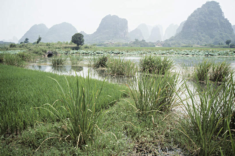 无人,横图,室外,白天,正面,旅游,度假,河流,美景,山,山脉,水,雾,桂林,中国,亚洲,阴影,波纹,朦胧,模糊,光线,影子,河水,景观,山峰,水流,涟漪,山峦,娱乐,倒影,水纹,天空,阳光,自然,波浪,群山,天,享受,休闲,景色,放松,晴朗,广西,迷雾,倒映,自然风光,东亚,万里无云,广西壮族自治区,中华人民共和国,桂林市,桂,华南地区,水晕,反照,大雾,晴空,晴空万里,彩图