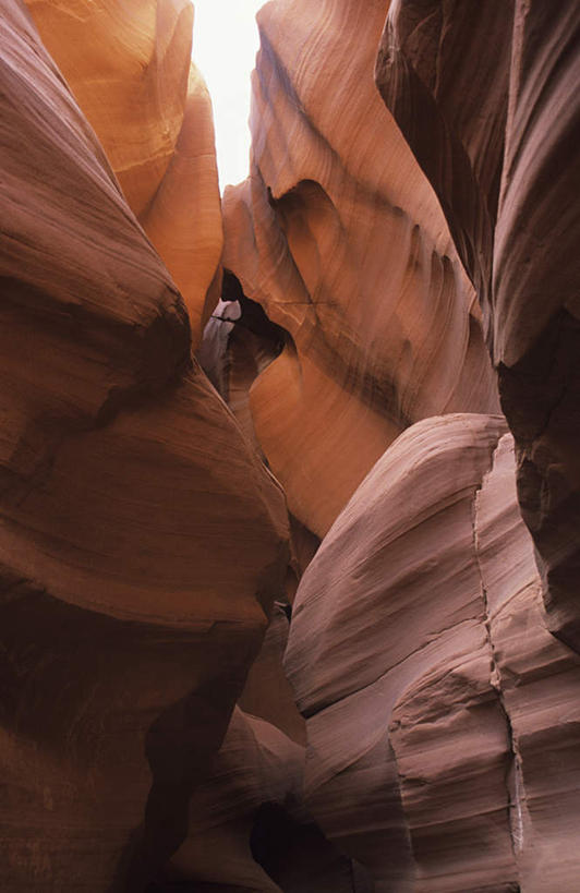 无人,竖图,室外,白天,正面,旅游,度假,石头,美景,峡谷,美国,石子,景观,山谷,娱乐,自然,享受,休闲,景色,放松,北美,北美洲,犹他州,岩层,自然风光,美洲,北亚美利加洲,亚美利加洲,犹他,蜂窝之州,蜂房州,石块,岩石,彩图