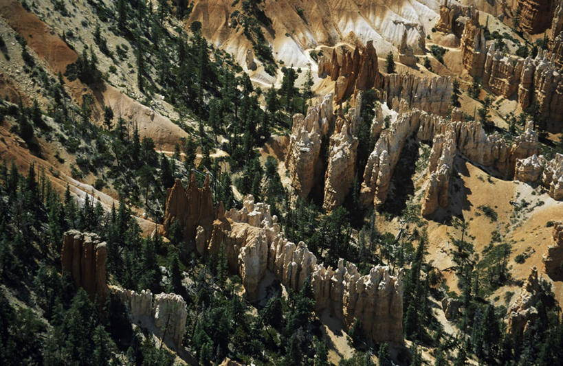 无人,公园,横图,俯视,航拍,室外,白天,旅游,度假,石头,美景,山,山脉,树林,峡谷,植物,美国,纹路,石子,纹理,景观,山峰,山谷,山峦,娱乐,树,树木,绿色,自然,群山,享受,休闲,景色,放松,生长,成长,北美,北美洲,国家公园,犹他州,岩层,鸟瞰,自然风光,美洲,肌理,北亚美利加洲,亚美利加洲,犹他,蜂窝之州,蜂房州,布莱斯国家公园,布莱斯峡谷,布莱斯峡谷国家公园,石块,岩石,彩图,高角度拍摄