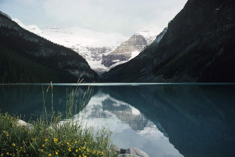 无人,横图,室外,白天,正面,旅游,度假,草地,草坪,湖,湖泊,美景,山,山脉,水,植物,加拿大,阴影,盛开,光线,纹路,纹理,影子,湖面,景观,山峰,水流,水面,云,云朵,山峦,花蕾,云彩,娱乐,草,花,花瓣,花朵,鲜花,蓝色,绿色,白云,蓝天,天空,阳光,自然,湖水,群山,天,花苞,花蕊,享受,休闲,景色,放松,晴朗,北美,北美洲,国家公园,自然风光,美洲,阿尔伯塔省,班夫国家公园,阿尔伯塔,肌理,北亚美利加洲,亚美利加洲,艾伯塔,艾伯塔省,露易斯湖,晴空,彩图