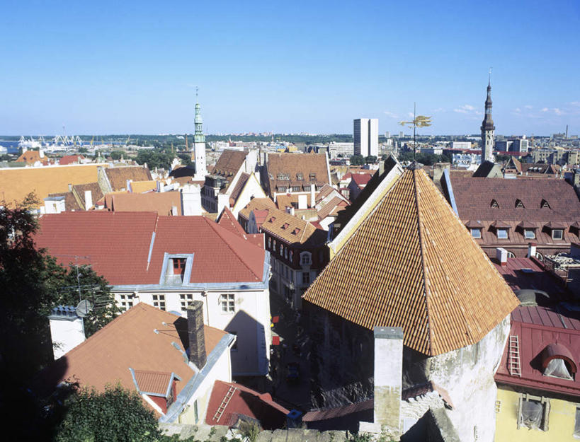 无人,家,横图,俯视,室外,白天,度假,美景,植物,城市风光,城市,建筑,欧洲,爱沙尼亚,瓦片,房屋,屋顶,屋子,景观,公寓,首都,顶棚,瓦,娱乐,洋房,楼房,住宅,树,树木,蓝色,绿色,蓝天,天空,自然,天,享受,休闲,景色,放松,建造,生长,晴朗,成长,东欧,屋瓦,万里无云,爱沙尼亚共和国,塔林,晴空,晴空万里,彩图,高角度拍摄,房子