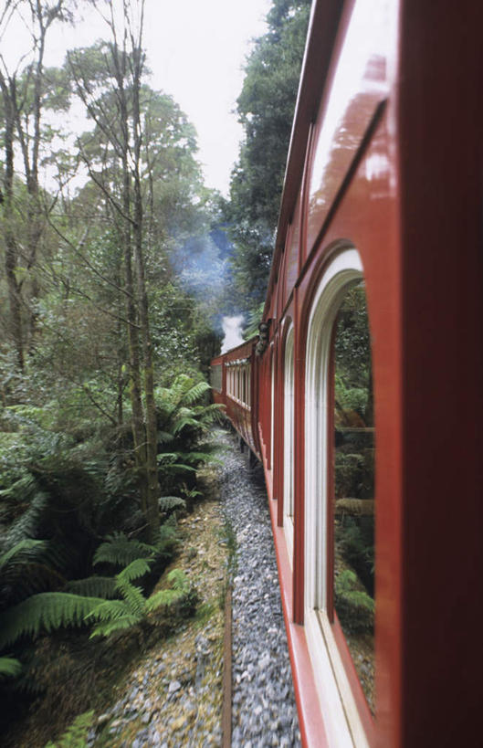 无人,竖图,室外,白天,正面,旅游,度假,美景,植物,路,铁路,火车,澳大利亚,景观,轨道,交通,铁轨,娱乐,车,树,树木,绿色,自然,交通工具,享受,休闲,景色,放松,运输,生长,成长,自然风光,载具,大洋洲,塔斯马尼亚,澳洲,南方大陆,澳大利亚联邦,塔斯马尼亚州,彩图