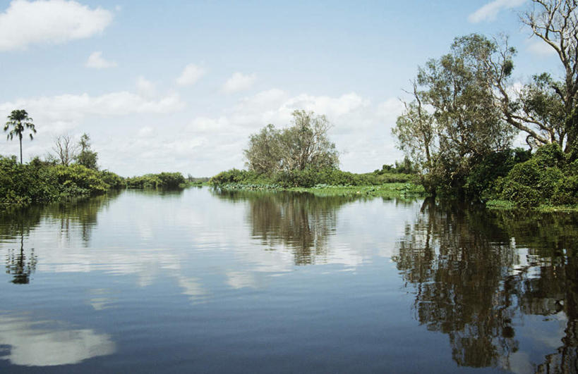 无人,公园,横图,室外,白天,正面,旅游,度假,草地,草坪,湖,湖泊,美景,水,植物,澳大利亚,波纹,湖面,景观,水流,水面,云,云朵,涟漪,云彩,娱乐,草,树,树木,蓝色,绿色,白云,倒影,蓝天,水纹,天空,自然,波浪,湖水,天,享受,休闲,景色,放松,生长,晴朗,成长,倒映,国家公园,自然风光,大洋洲,澳洲,南方大陆,水晕,澳大利亚联邦,北领地,卡卡都国家公园,卡卡杜国家公园,反照,晴空,彩图