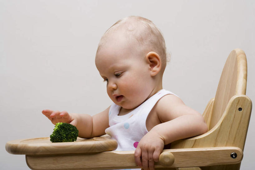 西方人,婴儿,儿童,一个人,坐,笑,微笑,横图,室内,白天,白色背景,侧面,婴儿服装,纯洁,蔬菜,椅子,欧洲,欧洲人,仅一个人,握,新鲜,花菜,花椰菜,西兰花,食品,拿,拿着,注视,食物,小孩,观察,看,可爱,握着,摄影,活泼,有机食品,绿色食品,影棚,观看,察看,关注,宝宝,儿童椅,婴儿椅,纯真,烂漫,无邪,宝宝餐椅,宝宝椅,儿童餐椅,婴儿高脚椅,伶俐,天真,白种人,孩子,坐着,半身,彩图,影棚拍摄,婴儿服,拍摄