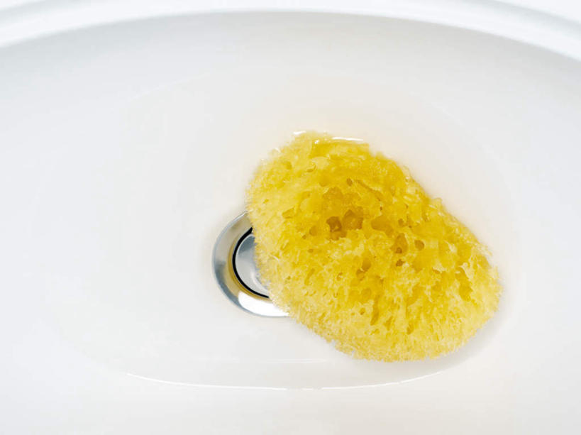 无人,横图,俯视,室内,特写,白天,化妆,美容,静物,护肤,海绵,水槽,水斗,一个,黄色,清洁,保养,享受,休闲,放松,保健,单个,养颜,洗脸海绵,洗脸扑,洗脸绵,彩图,高角度拍摄