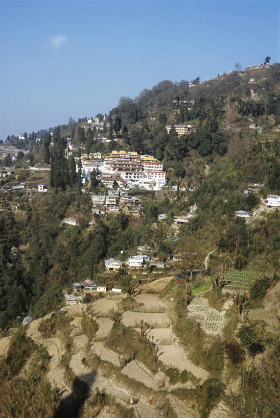 无人,家,农田,竖图,俯视,室外,白天,旅游,度假,庄稼,农作物,美景,山,山脉,印度,亚洲,许多,阴影,光线,影子,房屋,屋子,景观,山峰,云,云朵,山峦,云彩,娱乐,楼房,住宅,蓝色,白云,蓝天,天空,阳光,自然,群山,天,享受,休闲,景色,放松,晴朗,自然风光,南亚,印度共和国,西孟加拉邦,大吉岭,晴空,彩图,高角度拍摄,耕地,庄稼田,房子