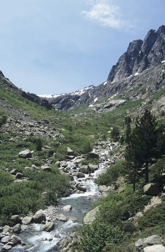 无人,竖图,室外,白天,仰视,旅游,度假,河流,美景,森林,山,山脉,树林,水,植物,法国,欧洲,阴影,光线,纹路,纹理,影子,河水,景观,山峰,水流,云,云朵,山峦,云彩,娱乐,树,树木,蓝色,绿色,白云,蓝天,天空,小溪,阳光,自然,群山,天,溪水,享受,休闲,景色,放松,生长,晴朗,成长,科西嘉,科西嘉岛,自然风光,法兰西共和国,肌理,法兰西第五共和国,科西嘉大区,晴空,彩图,低角度拍摄