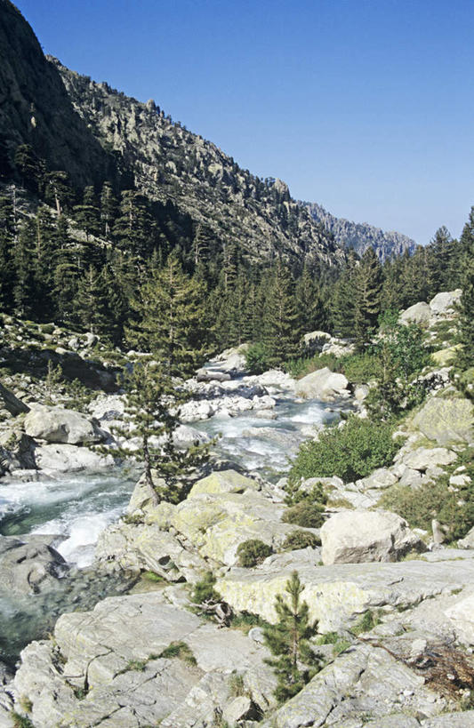 无人,竖图,室外,白天,仰视,旅游,度假,河流,石头,美景,山,山脉,树林,水,植物,法国,欧洲,飞溅,溅,石子,液体,河水,景观,山峰,水滴,水流,山峦,娱乐,水珠,树,树木,蓝色,绿色,蓝天,天空,小溪,自然,群山,天,溪水,享受,休闲,景色,放松,生长,晴朗,成长,科西嘉,科西嘉岛,喷洒,自然风光,万里无云,法兰西共和国,法兰西第五共和国,科西嘉大区,石块,岩石,晴空,晴空万里,彩图,低角度拍摄