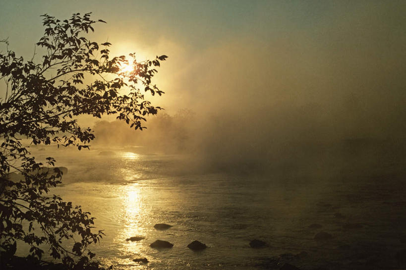 无人,横图,室外,白天,正面,旅游,度假,河流,美景,水,植物,雾,叶子,加拿大,波纹,朦胧,模糊,河水,景观,水流,绿叶,涟漪,娱乐,树,树木,绿色,倒影,水纹,自然,波浪,享受,休闲,嫩叶,景色,放松,生长,成长,迷雾,倒映,北美,北美洲,自然风光,美洲,省会,水晕,北亚美利加洲,亚美利加洲,魁北克,魁北克城,魁北克省,魁北克市,反照,叶,叶片,大雾,彩图