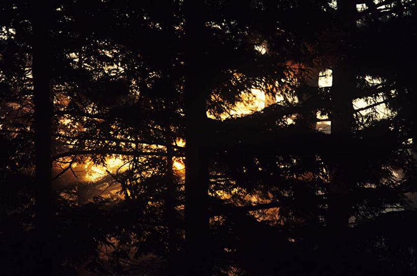 无人,横图,室外,白天,仰视,旅游,度假,草地,草坪,日出,美景,太阳,植物,加拿大,阴影,光线,影子,景观,朝霞,晨曦,黎明,娱乐,草,树,树木,绿色,阳光,自然,享受,休闲,景色,放松,生长,成长,北美,北美洲,自然风光,美洲,省会,北亚美利加洲,亚美利加洲,魁北克,魁北克城,魁北克省,魁北克市,朝阳,彩图,低角度拍摄,破晓