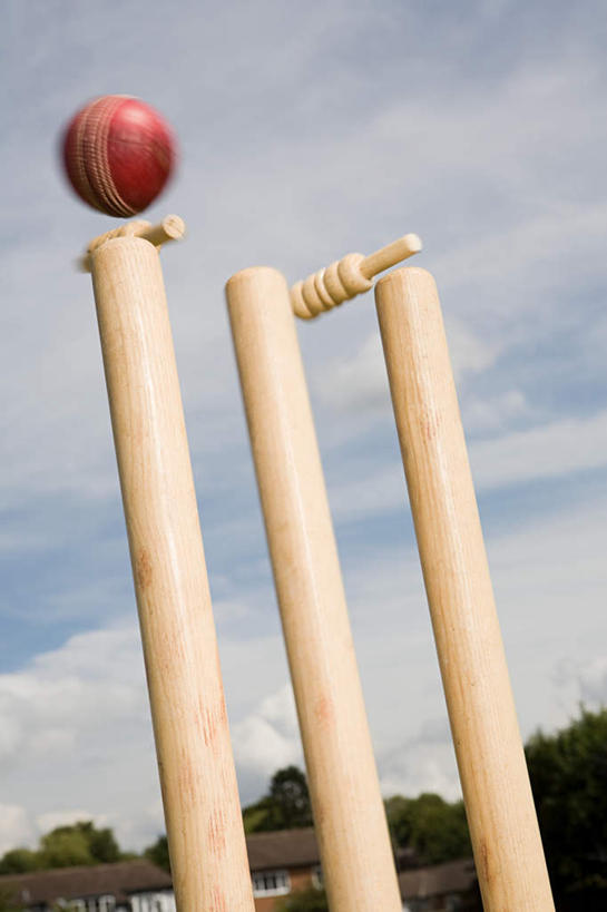 无人,竖图,室外,白天,仰视,植物,阴影,光线,木制,影子,云,云朵,云彩,运动器械,球,树,树木,蓝色,绿色,白云,蓝天,天空,阳光,自然,木制品,天,健身器械,生长,晴朗,成长,健身器材,板球,晴空,彩图,低角度拍摄,运动器材