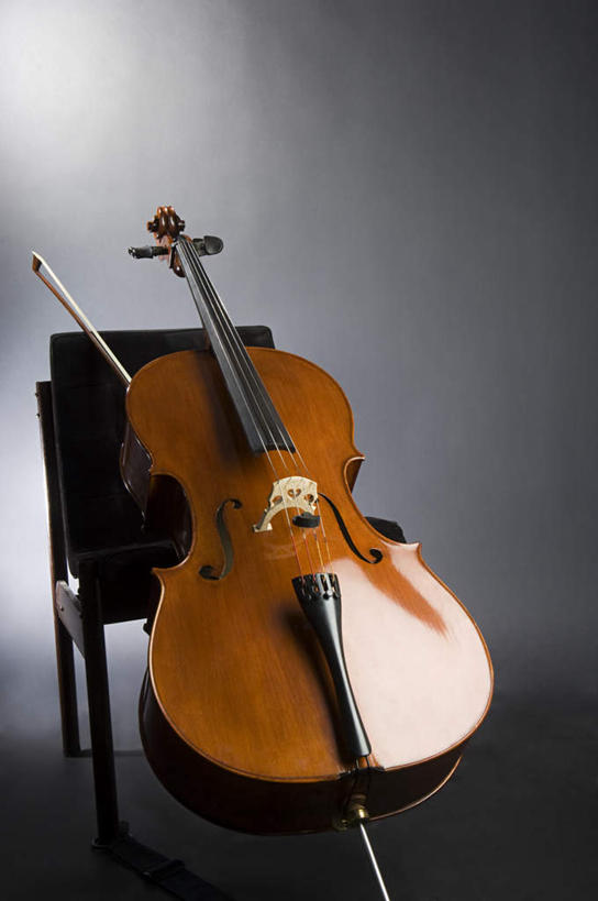 无人,竖图,室内,白天,正面,静物,椅子,一把,灰色背景,大提琴,乐器,弦乐器,一个,摄影,影棚,单个,弓拉弦乐器,弓拉弦鸣乐器,彩图,影棚拍摄,拍摄