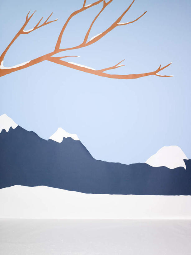 无人,竖图,室内,白天,正面,石头,山,雪,雪山,大雪,石子,冰,积雪,山顶,山峰,雪景,冬季,冬天,树桩,山峦,树,树干,木桩,寒冷,冰冷,沉积岩,严寒,冰凉,酷寒,凛冽,凛凛,极冷,颠峰,极峰,水成岩,石块,岩石,彩图