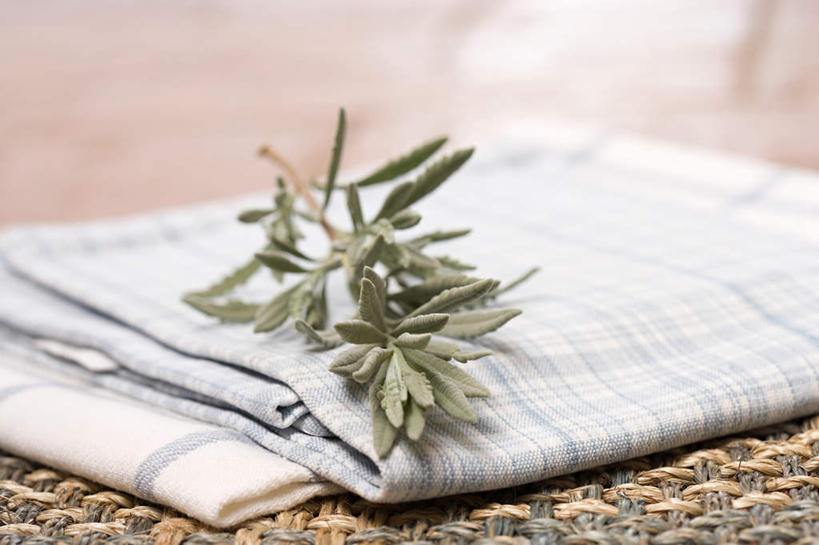 无人,横图,俯视,室内,特写,白天,叶子,纺织品,朦胧,模糊,布,绿叶,织物,嫩叶,布匹,迷迭香,海洋之露,卡其布,叶,叶片,彩图,高角度拍摄