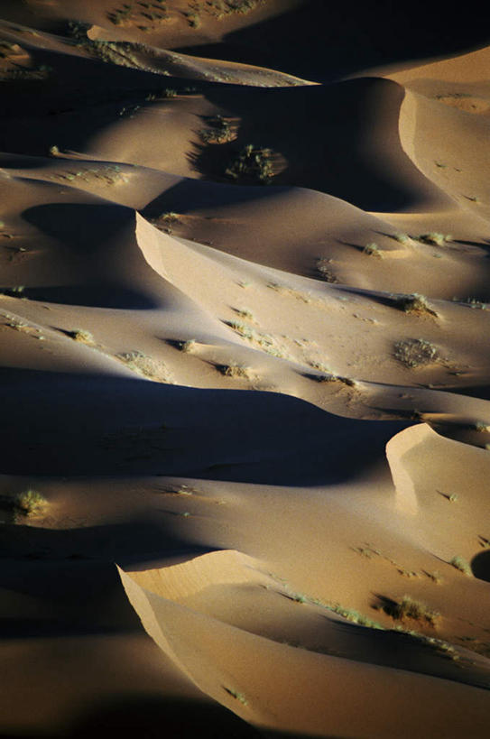 无人,竖图,俯视,室外,白天,旅游,度假,美景,沙漠,非洲,阴影,光线,影子,景观,娱乐,阳光,自然,享受,休闲,景色,放松,自然风光,阿非利加洲,撒哈拉沙漠,大漠,砂漠,彩图,高角度拍摄