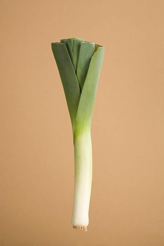 无人,竖图,俯视,室内,特写,白天,餐桌,桌子,蔬菜,一根,阴影,新鲜,反射,影子,葱,大葱,青葱,食品,食物,绿色,白色,摄影,有机食品,绿色食品,影棚,餐台,彩图,高角度拍摄,影棚拍摄,拍摄