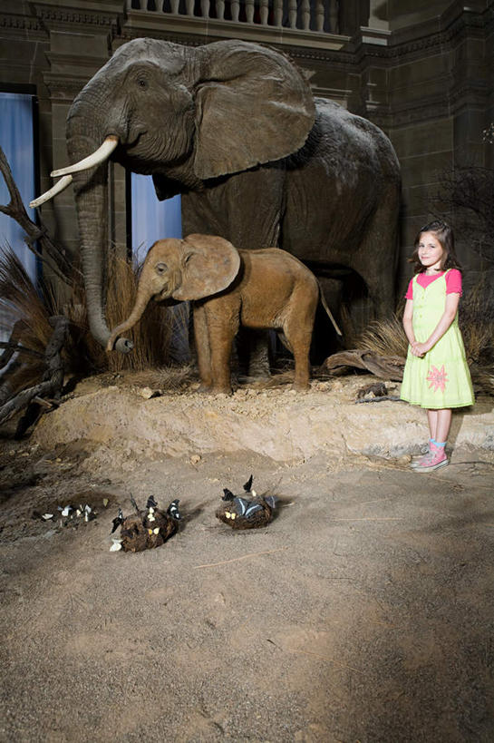 西方人,儿童,一个人,博物馆,站,竖图,室内,白天,侧面,纯洁,哺乳动物,大象,野生动物,欧洲,欧洲人,仅一个女性,仅一个人,服装,研究,教育,注视,休闲装,小孩,衣服,动物,观察,看,站着,仅一个小孩,休闲,休闲服,可爱,童年,童趣,服饰,观看,展览,察看,关注,欣赏,陈列,童真,烂漫,无邪,典藏,天真,女孩,女人,女性,白种人,孩子,象,站立,彩图,全身,女生