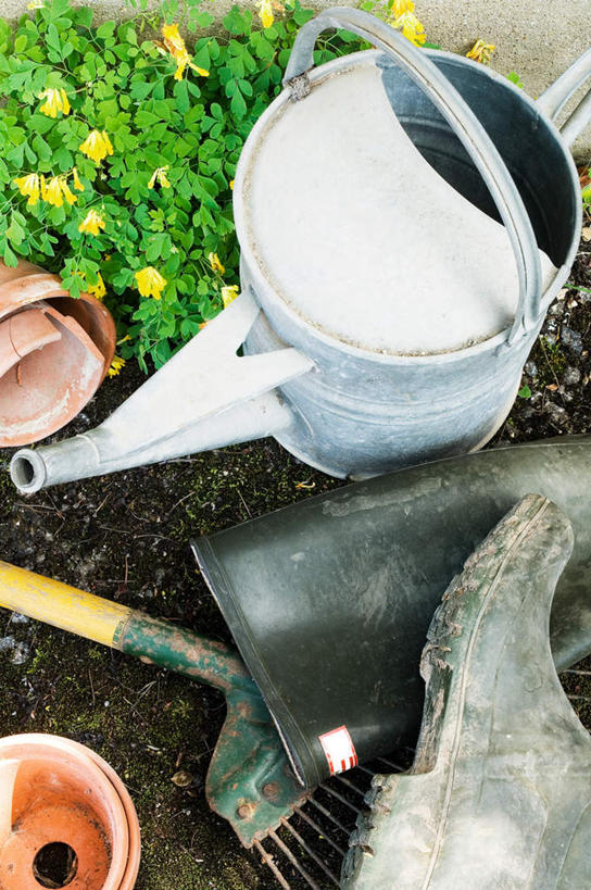 无人,竖图,俯视,室外,特写,白天,阴影,朦胧,模糊,盛开,反射,工具,壶,影子,花蕾,洒水壶,拖把,水壶,花,花瓣,花朵,鲜花,一个,花苞,花蕊,清洁,单个,卫生,保洁,浇水壶,彩图,高角度拍摄