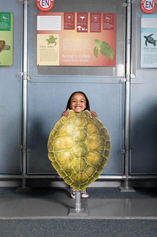 西方人,儿童,一个人,站,笑,微笑,竖图,室内,白天,正面,纯洁,龟,欧洲,非洲,黑人,欧洲人,仅一个女性,仅一个人,表演,墙,注视,海洋生物,水族馆,墙壁,墙面,小孩,观察,看,站着,仅一个小孩,健康,展示,可爱,童年,童趣,遮,遮掩,海底世界,观看,展览,龟壳,察看,掩盖,遮挡,饲养,关注,水生动物,坚定,水生物,童真,海底动物,烂漫,无邪,遮盖,收集,长寿,掩饰,极地海洋世界,天真,女孩,女人,女性,白种人,非洲人,孩子,海龟,站立,彩图,全身,女生