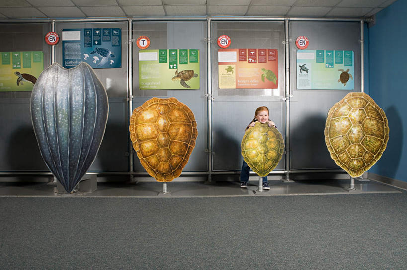 西方人,儿童,一个人,站,横图,室内,白天,正面,纯洁,龟,欧洲,欧洲人,仅一个女性,仅一个人,躲藏,表演,服装,英文,标本,标志,文字,字符,字母,墙,注视,休闲装,标识,海洋生物,水族馆,墙壁,墙面,小孩,衣服,观察,看,站着,仅一个小孩,休闲,健康,休闲服,展示,可爱,童年,童趣,海底世界,服饰,观看,展览,英文字母,龟壳,察看,隐藏,饲养,关注,水生动物,坚定,水生物,童真,海底动物,烂漫,无邪,收集,长寿,潜藏,极地海洋世界,天真,女孩,女人,女性,白种人,孩子,海龟,站立,彩图,全身,女生