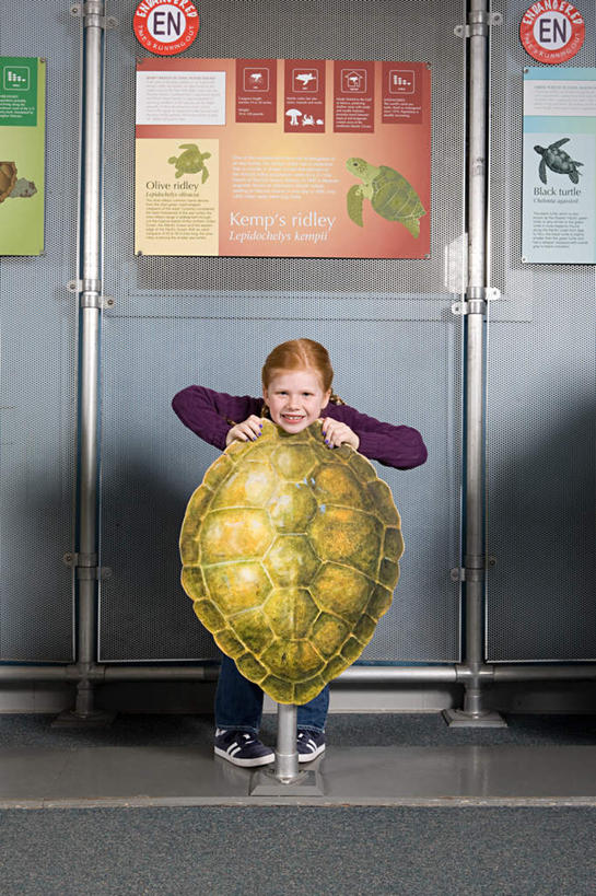 西方人,儿童,一个人,站,笑,微笑,竖图,室内,白天,正面,纯洁,龟,欧洲,非洲,黑人,欧洲人,仅一个女性,仅一个人,表演,墙,注视,海洋生物,水族馆,墙壁,墙面,小孩,观察,看,站着,仅一个小孩,健康,展示,可爱,童年,童趣,遮,遮掩,海底世界,观看,展览,龟壳,察看,掩盖,遮挡,饲养,关注,水生动物,坚定,水生物,童真,海底动物,烂漫,无邪,遮盖,收集,长寿,掩饰,极地海洋世界,天真,女孩,女人,女性,白种人,非洲人,孩子,海龟,站立,彩图,全身,女生