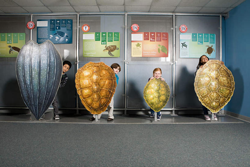 西方人,儿童,四个人,伙伴,朋友,站,横图,室内,白天,正面,友谊,纯洁,龟,欧洲,非洲,黑人,欧洲人,躲藏,表演,服装,英文,标本,标志,文字,字符,字母,墙,注视,休闲装,标识,海洋生物,水族馆,墙壁,墙面,小孩,衣服,观察,看,站着,休闲,健康,休闲服,展示,可爱,童年,童趣,海底世界,服饰,观看,展览,英文字母,龟壳,察看,隐藏,饲养,关注,水生动物,坚定,水生物,童真,海底动物,烂漫,无邪,收集,长寿,潜藏,极地海洋世界,天真,友情,男孩,男人,男性,女孩,女人,女性,白种人,非洲人,海龟,站立,彩图,全身,男生,女生