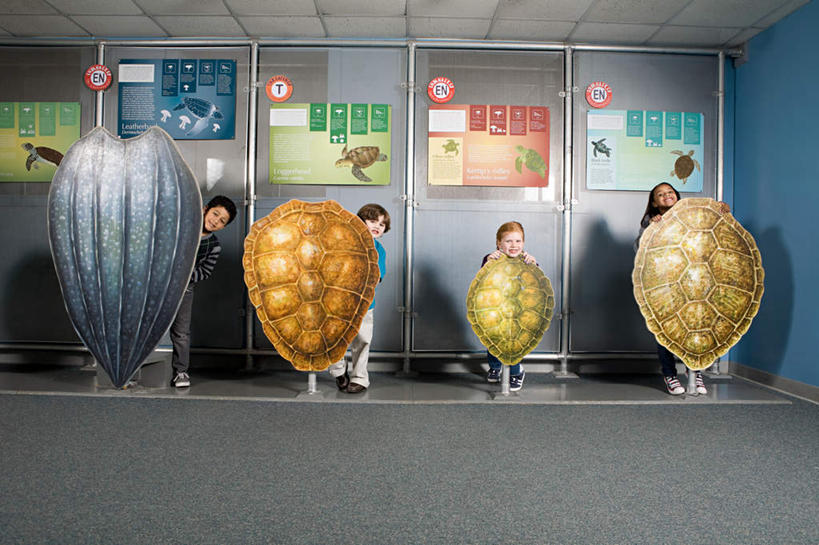 西方人,儿童,四个人,伙伴,朋友,站,横图,室内,白天,正面,友谊,纯洁,龟,欧洲,非洲,黑人,欧洲人,躲藏,表演,服装,英文,标本,标志,文字,字符,字母,墙,注视,休闲装,标识,海洋生物,水族馆,墙壁,墙面,小孩,衣服,观察,看,站着,休闲,健康,休闲服,展示,可爱,童年,童趣,海底世界,服饰,观看,展览,英文字母,龟壳,察看,隐藏,饲养,关注,水生动物,坚定,水生物,童真,海底动物,烂漫,无邪,收集,长寿,潜藏,极地海洋世界,天真,友情,男孩,男人,男性,女孩,女人,女性,白种人,非洲人,海龟,站立,彩图,全身,男生,女生