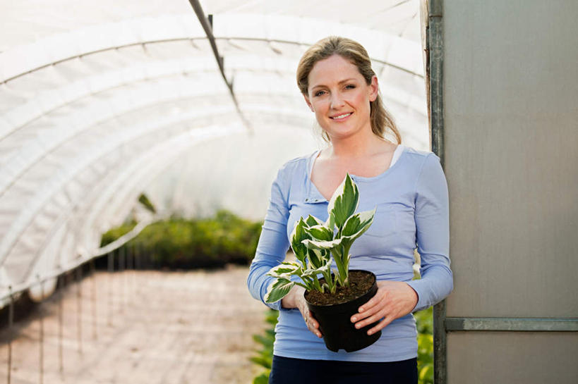 西方人,一个人,商店,站,笑,微笑,露齿笑,横图,室内,白天,正面,植物,欧洲,欧洲人,仅一个女性,仅一个人,握,服装,朦胧,模糊,盆栽,盆景,拿,温室,拿着,注视,休闲装,商铺,衣服,绿色,自然,观察,看,站着,仅一个中年女性,休闲,休闲服,握着,服饰,设施,生长,成长,观看,察看,暖房,防寒,关注,加温,透光,保温,市肆,商号,女人,女性,中年女性,白种人,站立,半身,彩图,店铺,花园中心,园艺中心