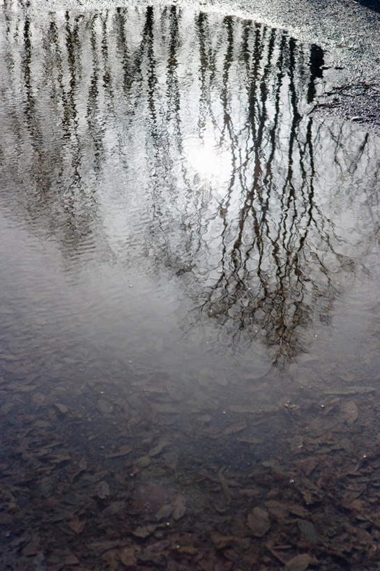 无人,竖图,俯视,室外,白天,旅游,度假,湖,湖泊,美景,水,华盛顿,美国,阴影,光线,影子,湖面,景观,水流,水面,娱乐,倒影,阳光,自然,湖水,享受,休闲,景色,放松,倒映,北美,北美洲,自然风光,美洲,华盛顿州,西雅图,常绿之州,常青州,北亚美利加洲,亚美利加洲,绿宝石城,翡翠之城,雨城,常绿之城,阿拉斯加门户,女王之城,喷气机之城,常青城,反照,彩图,高角度拍摄