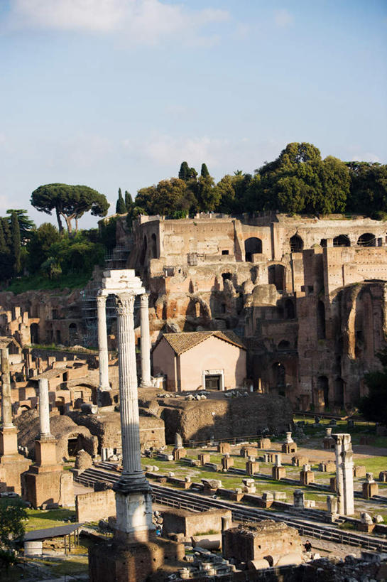 无人,竖图,室外,白天,正面,旅游,度假,名胜古迹,树林,植物,标志建筑,地标,建筑,意大利,欧洲,遗迹,云,云朵,建筑群,云彩,古迹,文物,娱乐,建设,古建筑,废墟,树,树木,蓝色,绿色,白云,蓝天,天空,自然,天,享受,休闲,旅游胜地,放松,生长,晴朗,成长,拉齐奥,南欧,古文明,古罗马广场,意大利共和国,拉齐奥大区,古罗马市场,露天博物馆,晴空,彩图