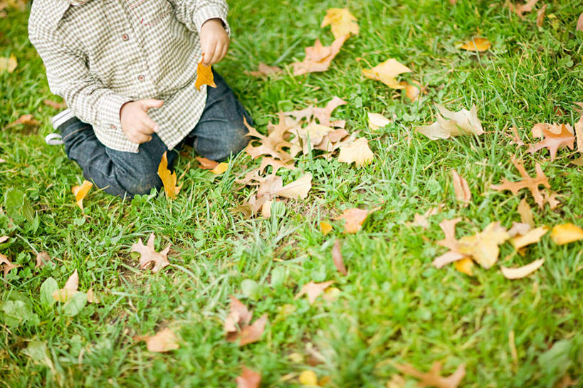 西方人,儿童,一个人,跪,横图,俯视,室外,白天,纯洁,草地,草坪,植物,叶子,欧洲,欧洲人,仅一个男性,仅一个人,握,服装,裤子,枯叶,落叶,拿,拿着,牛仔裤,休闲装,草,小孩,衣服,绿色,仅一个小孩,休闲,休闲服,可爱,童年,童趣,握着,服饰,童真,烂漫,无邪,天真,男孩,男人,男性,白种人,孩子,叶,叶片,跪着,半身,彩图,高角度拍摄,男生
