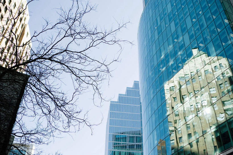 无人,高楼大厦,横图,室外,白天,仰视,度假,办公楼,美景,植物,窗户,城市风光,城市,大厦,建筑,摩天大楼,写字楼,加拿大,阴影,光线,影子,墙,景观,娱乐,玻璃窗,墙壁,墙面,树,树木,蓝色,绿色,蓝天,天空,阳光,自然,楼宇,天,享受,休闲,商务楼,景色,放松,生长,晴朗,成长,北美,北美洲,美洲,万里无云,北亚美利加洲,亚美利加洲,卑诗省,不列颠哥伦比亚,不列颠哥伦比亚省,温哥华,晴空,晴空万里,彩图,低角度拍摄,大楼,高层建筑,高楼,摩天楼