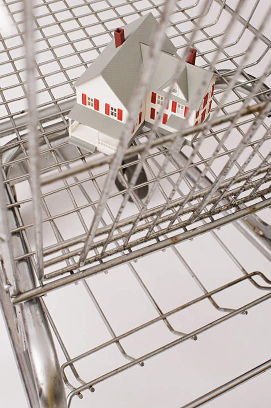 无人,家,木屋,竖图,俯视,室内,特写,白天,白色背景,静物,购物车,一辆,阴影,立体,反射,空间,影子,住宅,车,模型,手推车,规划,摄影,影棚,便利,存放,载具,快捷,方便,直观,建筑模型,建筑设计,寄存,寄放,暂存,设计,彩图,高角度拍摄,影棚拍摄,拍摄,茅舍,茅屋,棚屋,小木屋,小屋