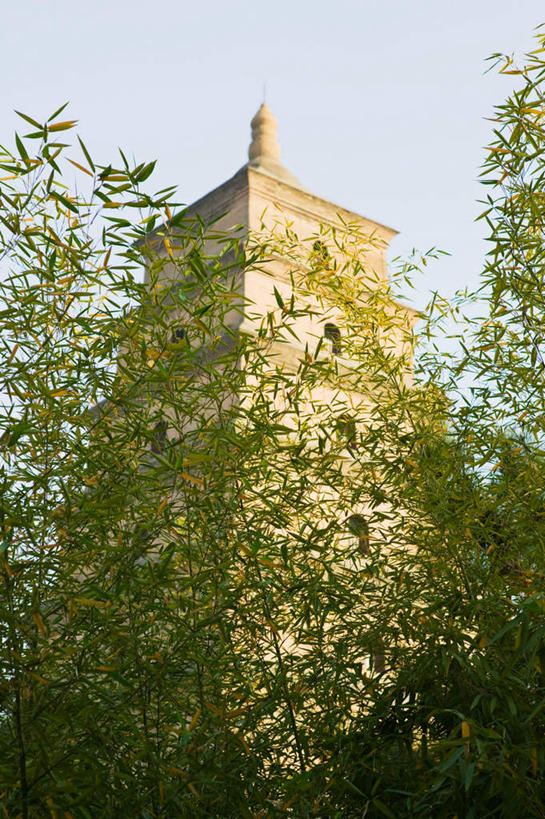 无人,寺庙,竖图,室外,白天,仰视,旅游,度假,名胜古迹,植物,标志建筑,地标,建筑,中国,亚洲,节日,遗迹,燃烧,古迹,文化,文物,娱乐,建设,古建筑,树,树木,绿色,自然,香火,庙宇,祈祷,享受,休闲,健康,旅游胜地,放松,许愿,宗教,信仰,生长,成长,纪念,祈求,古文明,东亚,山西,山西省,中华人民共和国,华北地区,晋,晋中,晋中市,平安,彩图,低角度拍摄,庙,寺