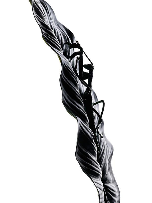 无人,竖图,室内,特写,白天,白色背景,正面,游戏,静物,玩具,昆虫,蚱蜢,玩,娱乐,一只,动物,休闲,益智,摄影,影棚,活动,发泄,消遣,智力,扁旦勾,害虫,宣泄,玩耍,嬉戏,彩图,影棚拍摄,拍摄