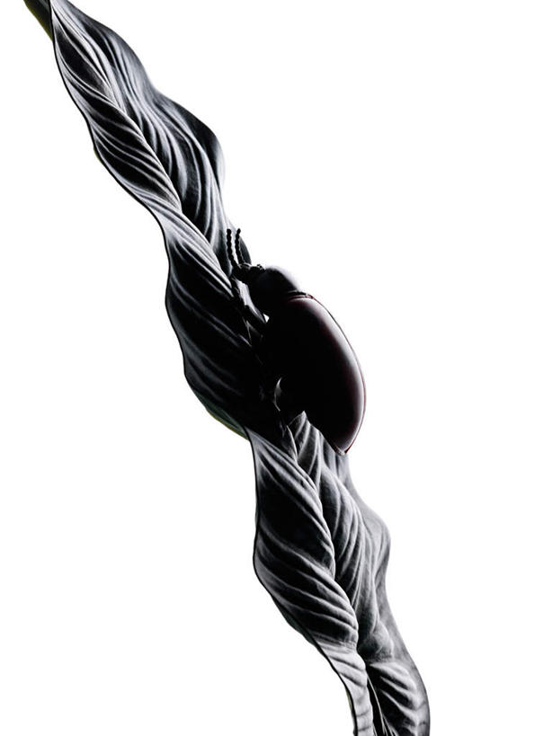 无人,竖图,黑白,室内,特写,白天,白色背景,正面,游戏,静物,玩具,昆虫,甲壳虫,玩,娱乐,一个,动物,休闲,益智,摄影,影棚,单个,活动,发泄,消遣,智力,甲虫,益虫,宣泄,玩耍,嬉戏,影棚拍摄,拍摄