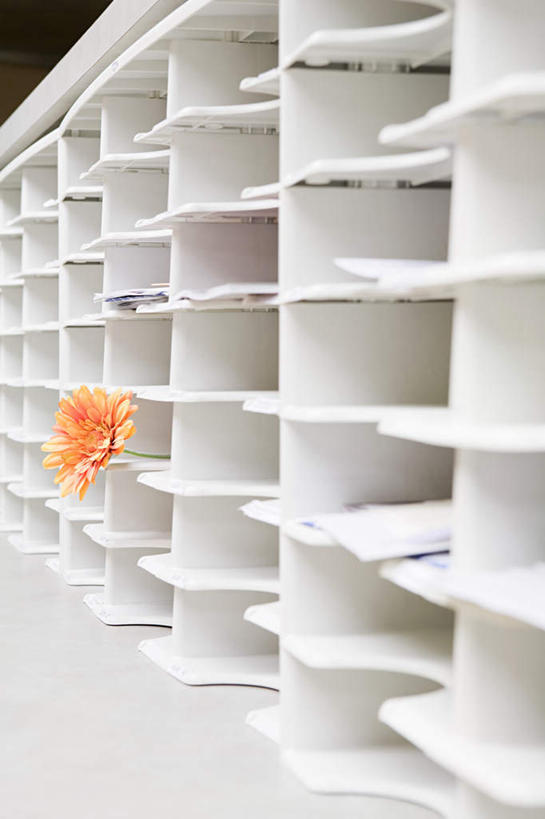 无人,办公室,竖图,室内,白天,正面,柜子,盛开,材料,档案,文件,花蕾,花,花瓣,花朵,鲜花,一朵,白色,资料,花苞,花蕊,文档,档案柜,彩图