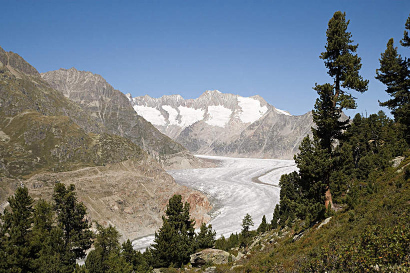 无人,横图,室外,白天,正面,旅游,度假,草地,草坪,美景,山,山脉,植物,瑞士,欧洲,阴影,光线,影子,景观,山峰,山峦,娱乐,阿莱奇冰川,草,树,树木,蓝色,绿色,蓝天,天空,阳光,自然,群山,天,享受,休闲,景色,放松,生长,晴朗,成长,自然风光,中欧,万里无云,瑞士联邦,晴空,晴空万里,彩图