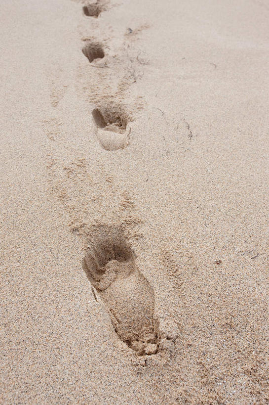 无人,竖图,俯视,室外,特写,白天,旅游,度假,美景,沙滩,汤加,一排,脚印,整齐,沙子,海岸,景观,沙地,娱乐,排列,自然,享受,休闲,景色,放松,足迹,队列,自然风光,大洋洲,行踪,脚迹,汤加王国,友爱群岛,海滩,彩图,高角度拍摄