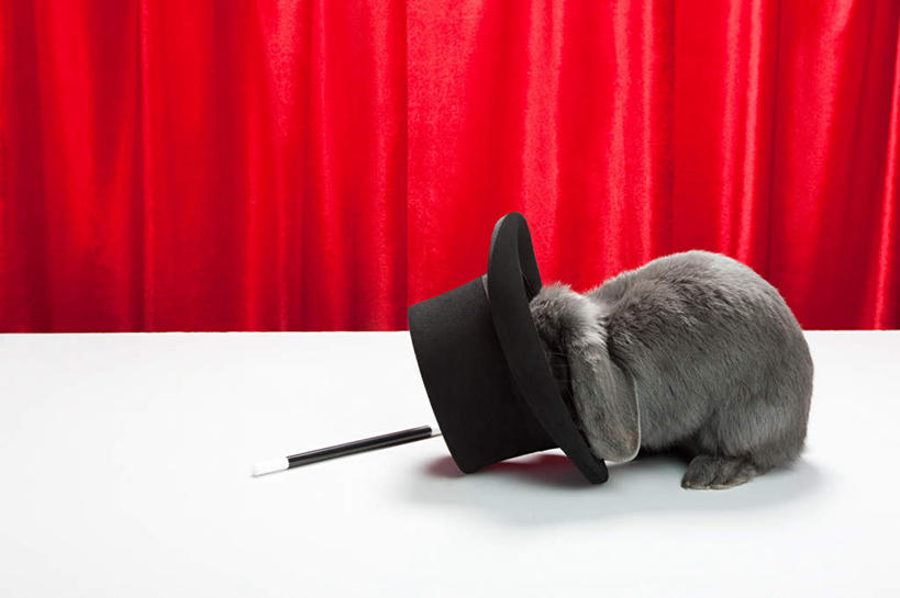 无人,站,横图,室内,白天,侧面,哺乳动物,帽子,躲藏,兔子,注视,礼帽,一只,红色,灰色,动物,观察,看,站着,摄影,帷幕,影棚,观看,兔,察看,隐藏,关注,帷幔,幕布,幕帘,一顶,潜藏,帷幔布,站立,彩图,全身,影棚拍摄,拍摄